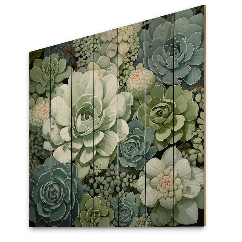 «Jafer Green Succulents Flowers Serene Succulents IV», reproduction sur bois, H 35 po x l 35 po x P 0,78 po