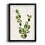 Botanical Wash III - Impression de cadre photo sur papier-1989108938-1989108930