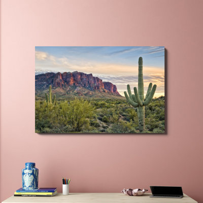 «Cacti View II», photographie sur toile
