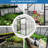 6X10 Ft Greenhouse With Drainage Gutter System And Adjustable Roof All Season Polycarbonate Door Protection For Plants-125340158