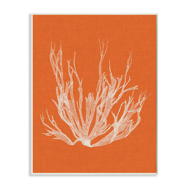 " Coral Seaweed Orange White Beach ", Wood Plaque, 10" H x 15" W x 0.5" D