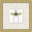 Flying Specimen 1 Print by Lillian August
