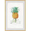 Botanical Pineapple - Single Picture Frame Print-146732869