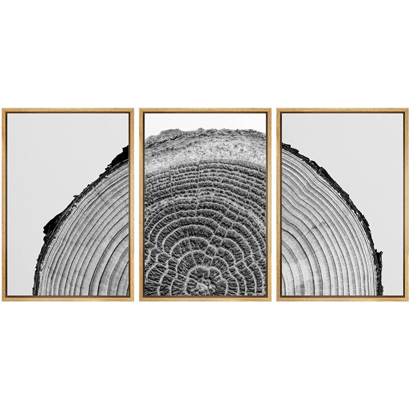 Natural Framed Black and White Tree Rings Canvas Art Set