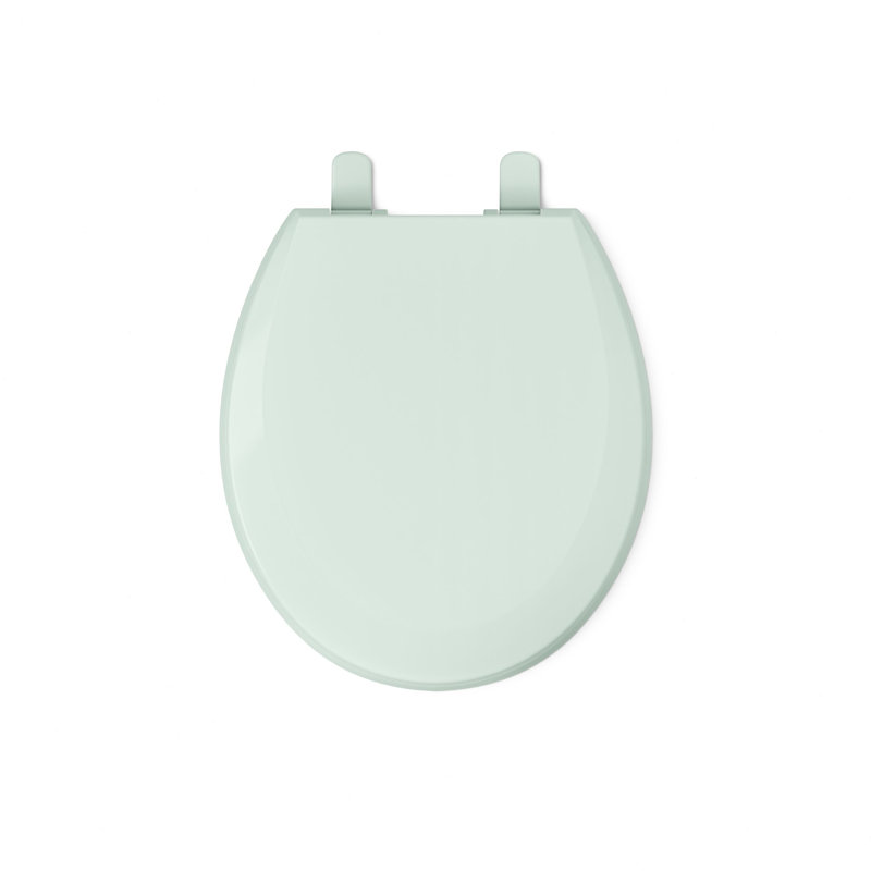 Lustra with Quick-Release Hinges Toilet Seat, Seafoam Green, Round