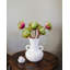 Protea Blush Waratah Bloom 31 po-2115729980-2115729981