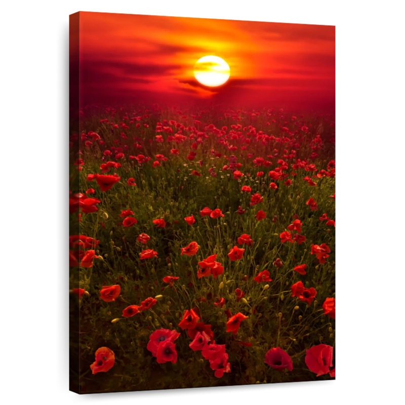 Harnek Warm Sunset Meadow, 51" H x 34" W