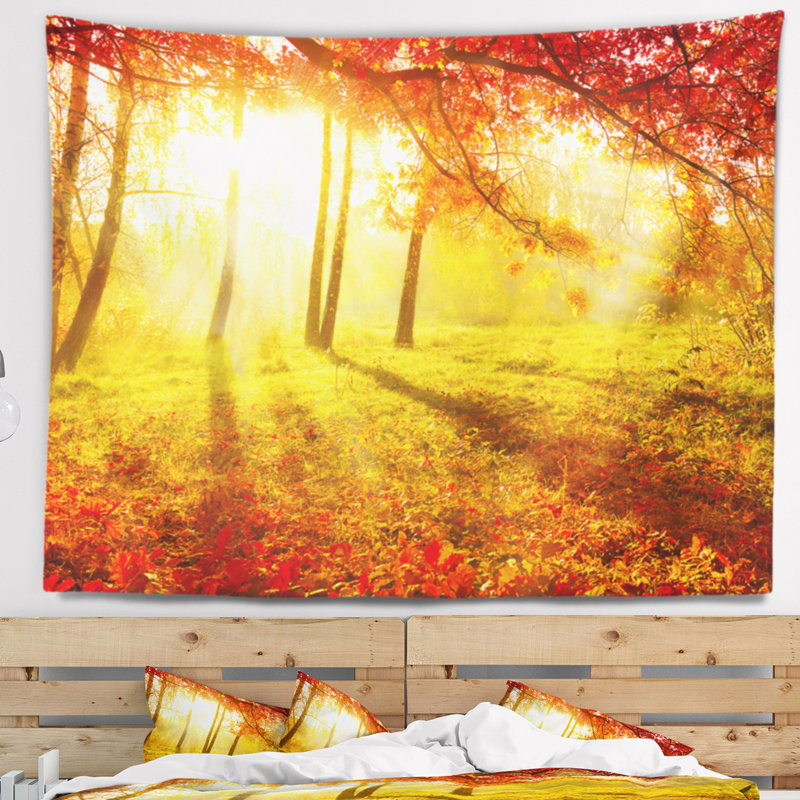 Photographie de paysage autumnal park tapestry, H 32 po x l 39 po