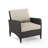 Mosca Wicker Outdoor Lounge Chair-49317806
