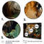 Feline Focus Tigers In Jungle 1 - Art mural jungle-1037936756-1037936766