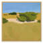 Shrubbery, Cape Hatteras Print-360398281-360398282-360398278