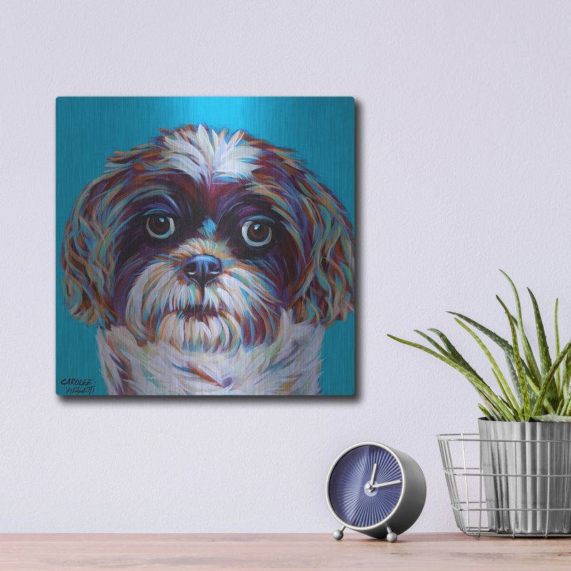 «Shih Tzu On Blue» par Carolee Vitaletti, H 12 po x l 12 po