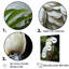 Cockatoos Tropical Haven sur toile-181827996-181827997