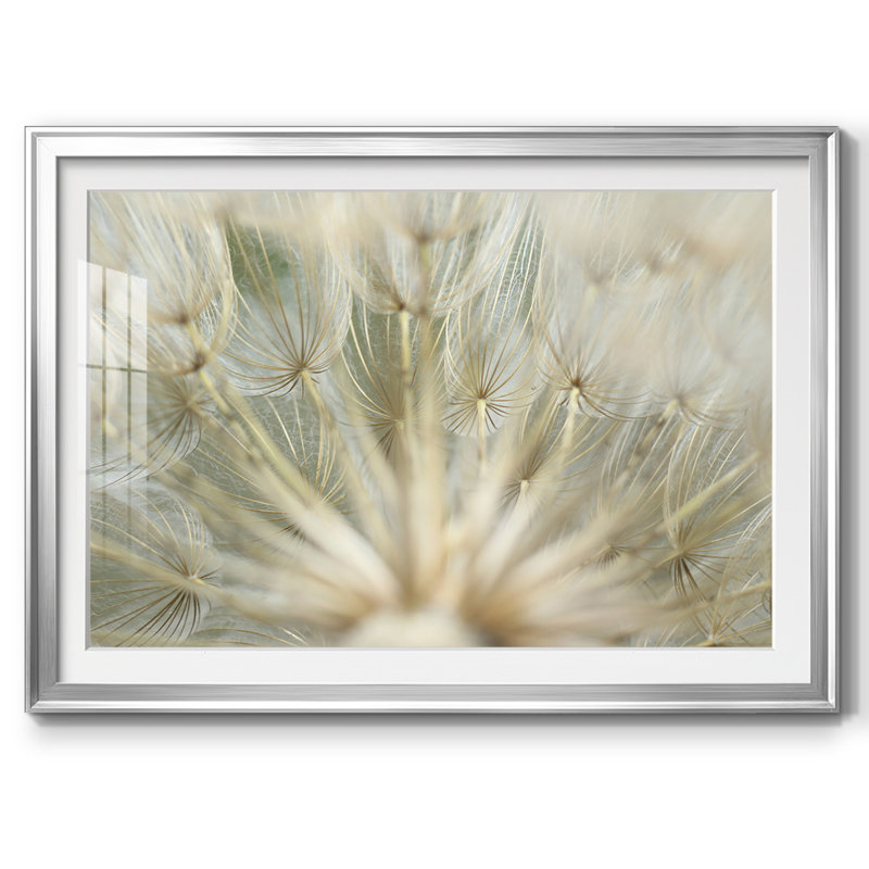 Macro Dandelion IV, reproduction d'art encadrée, Argent, H 15 po x l 21 po x P 1,5 po