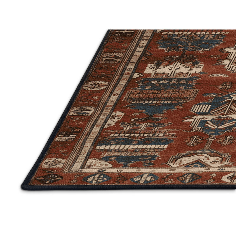 Machine Washable Turkish Black Area Rug, Rectangle 4' x 6'