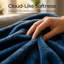 Machine Tufted Heated Blanket-128907652-128907654