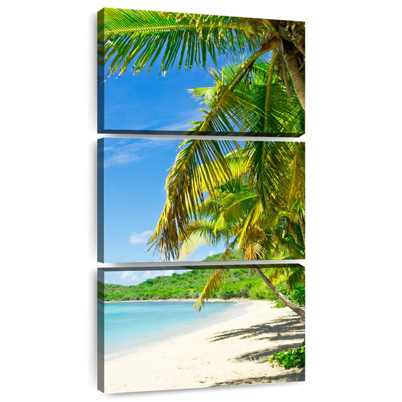 Palmiers Tortola, H 80 po x l 39 po