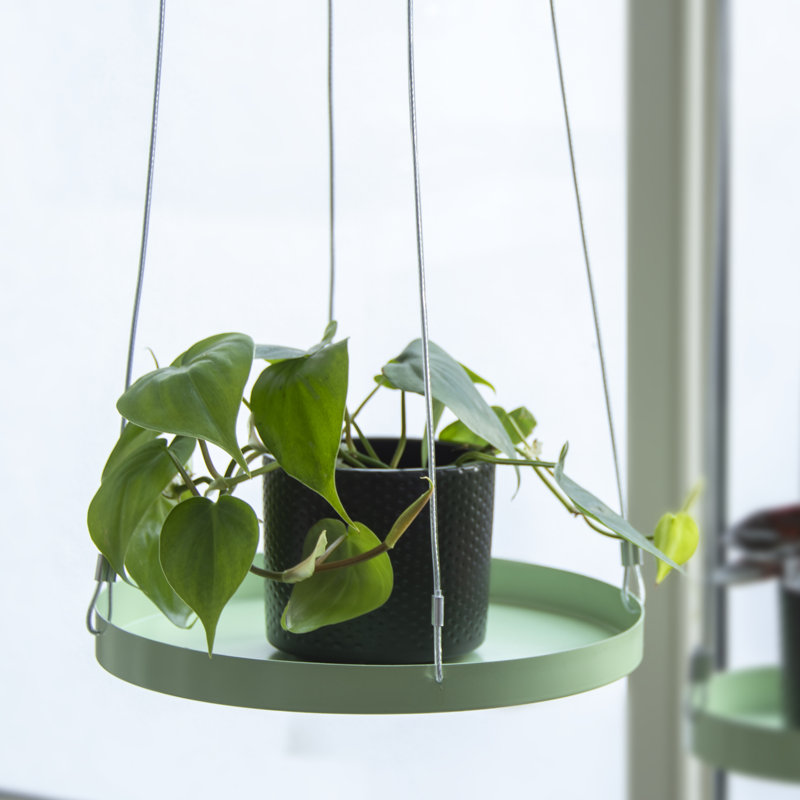 Plant Tray Hanging Round, 2.1 H x 24 L x 24cm D, Green