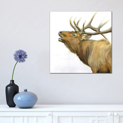 Majestic Brown Elk by James Wiens - Wrapped Canvas Painting