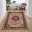 Aspynn Oriental Area Rug-2014637405