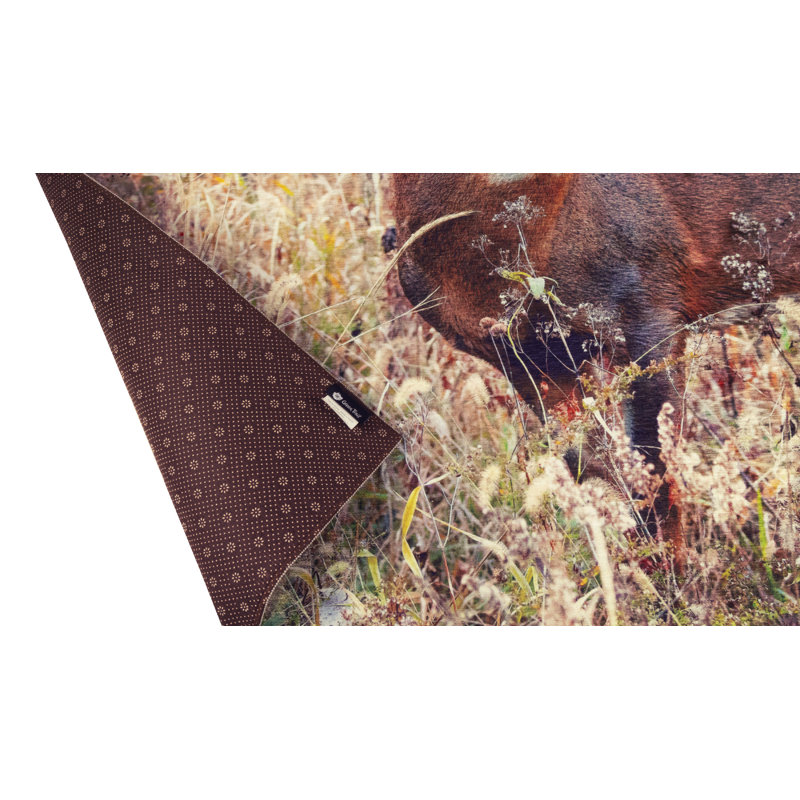 Tapis Moose, Rectangle 5 pi x 7 pi