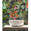 Alyette 10m x 53cm Textured Matte Non-Pasted Wallpaper Roll