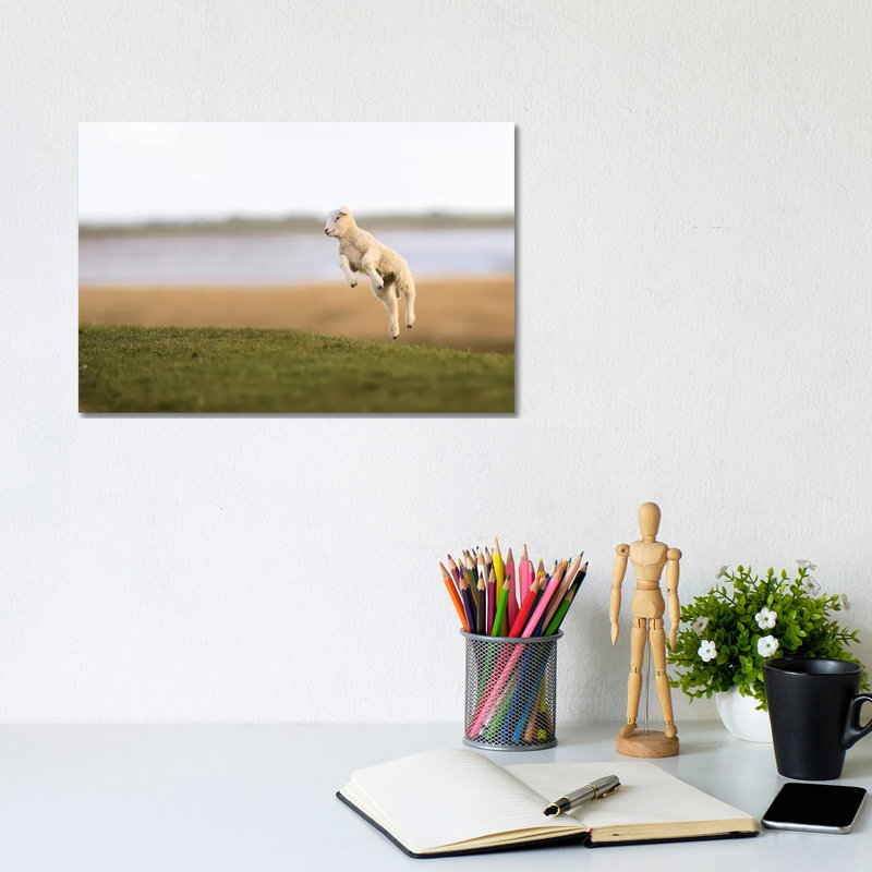 Jumping Lamb II by Elmar Weiss - Wrapped Canvas Gallery-Wrapped Canvas Giclée, 20.32 cm H x 30.48 cm W