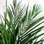 Artificial Palm Tree in Pot-88980147
