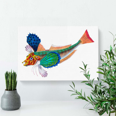 Sapphirine Gurnard Fish by Edward Donovan - Wrapped Canvas Painting