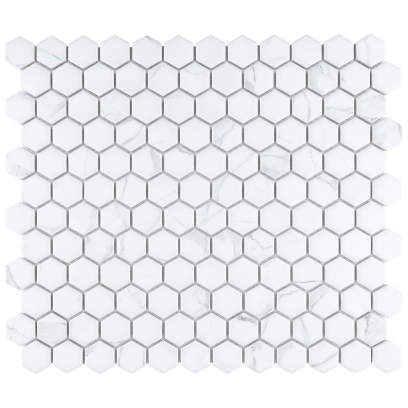 Carrione 1" Hex 10-1/4" x 11-7/8" Porcelain Mosaic Tile