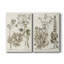 Revue botanique sépia III - Toile tendue avec châssis de qualité supérieure - Prêt à être accroché-61897982