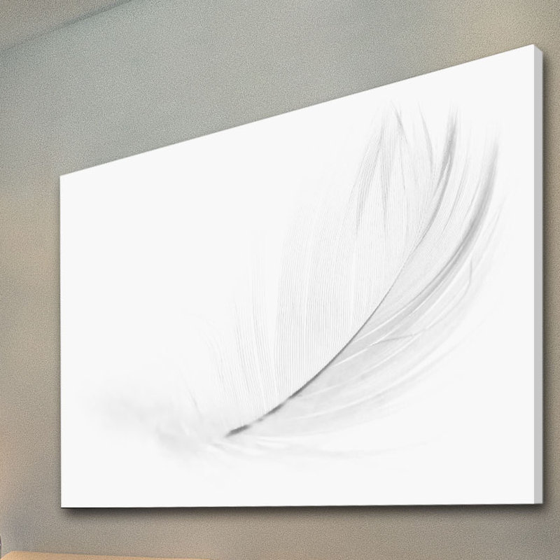 " Soft Down " by Marmont Hill, 20" H x 30" W x 1.5" D