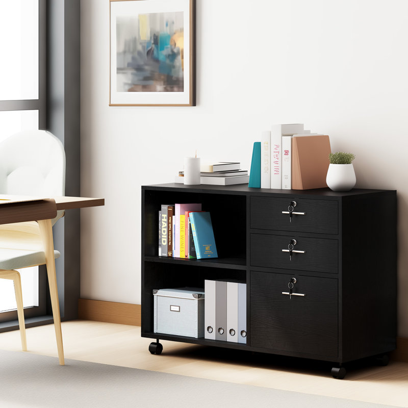 Alday 2 -Shelves Wooden Filing Cabinet, Black