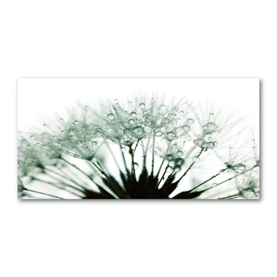Dandelion Seeds - Wrapped Canvas Print