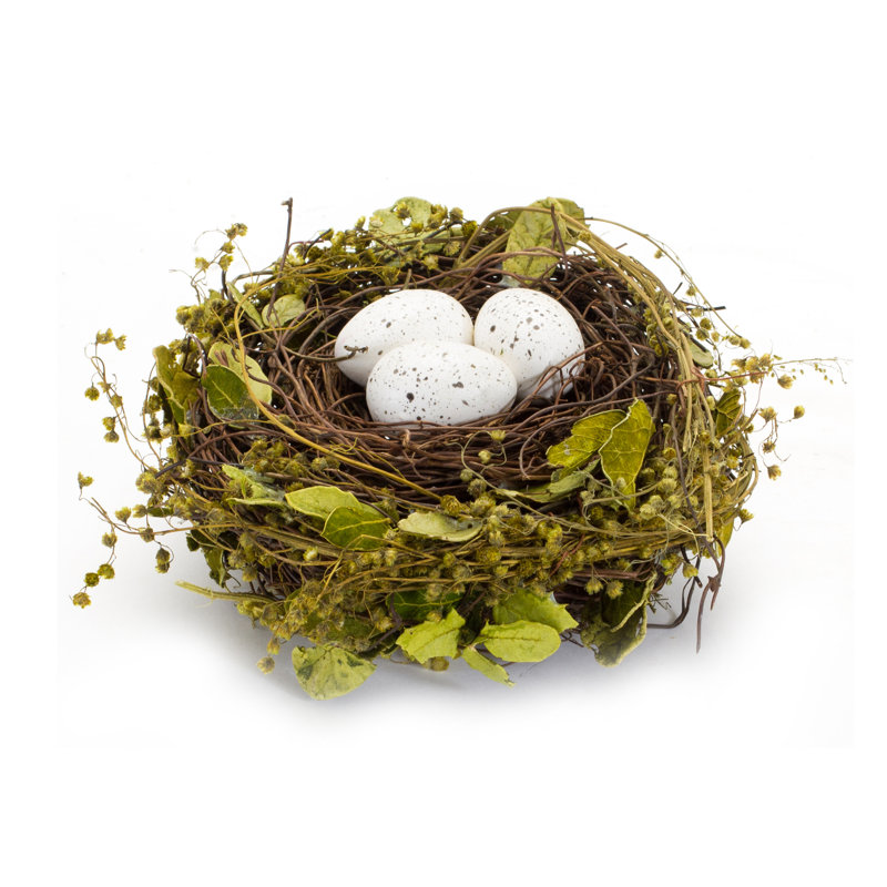 Mixed Bird Nests with Eggs