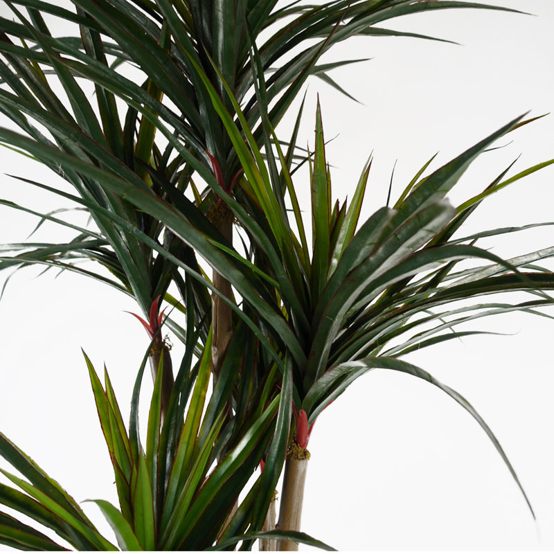 Anlin 120cm Faux Yucca Tree in Pot