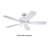 Ceiling Fan-1048628068