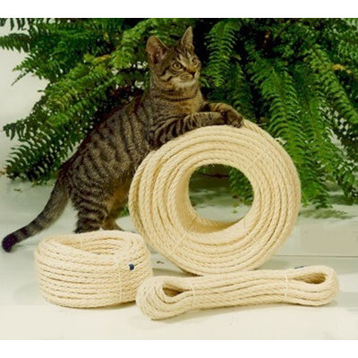 Kendal 1 cm H Cat Accessories