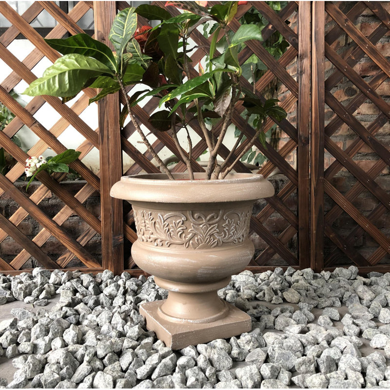 Pot à fleurs en béton Sprague, H 13 po x l 14 po x P 14 po, Brun pâle
