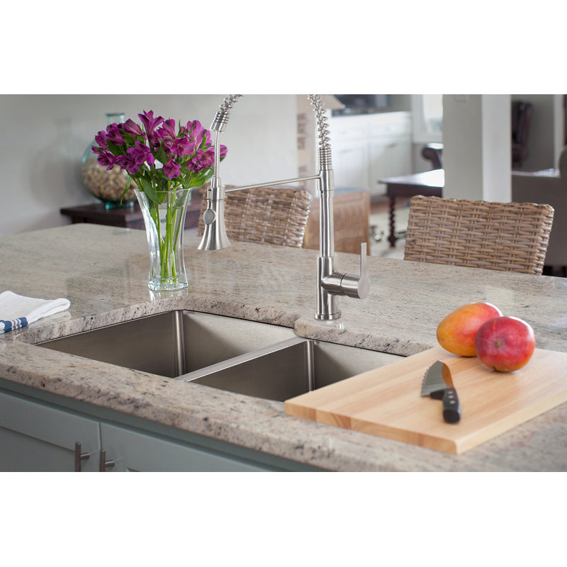 Vector Stainless Steel 33" L x 22" W Double Basin Dual Mount Kitchen Sink