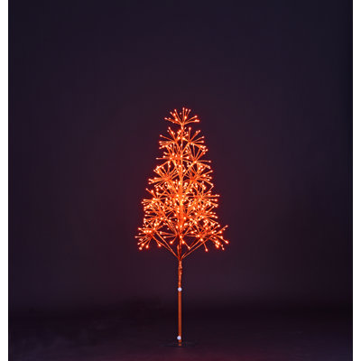 Lighted Trees & Branches