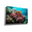 «Octopus at Sea» par Epic Portfolio, art mural sur toile-598752