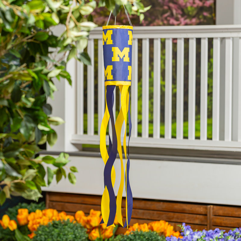 Université du Michigan Windsock