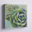 Succulents II, art mural sur toile-1375837887-1375837879
