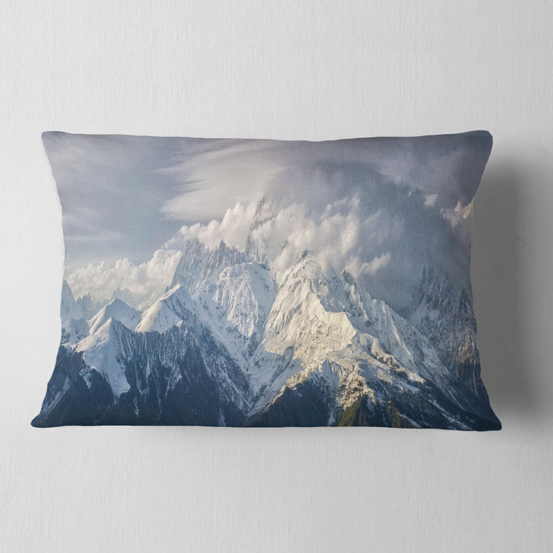Coussin lombaire Schafer