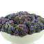 Arrangement floral succulent dans un vase-953263237
