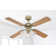 Isanti 105cm Ceiling Fan with Light Kit