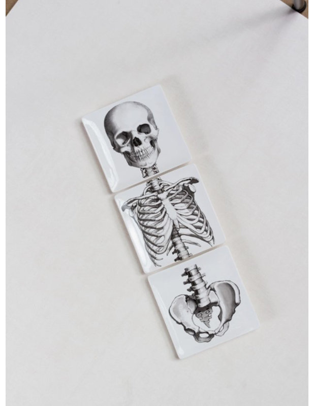 Ensemble de 3 assiettes décoratives Jarvus Skeleton Bones