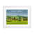 White Framed is unavailable