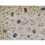 Oriental Area Rug